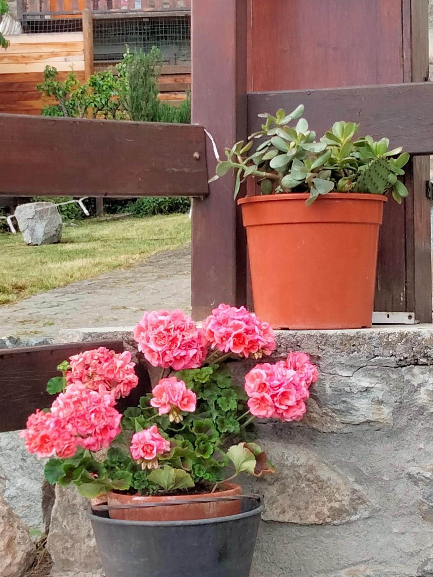 Grand Rive Bed and Breakfast Saint-Pierre Buitenkant foto
