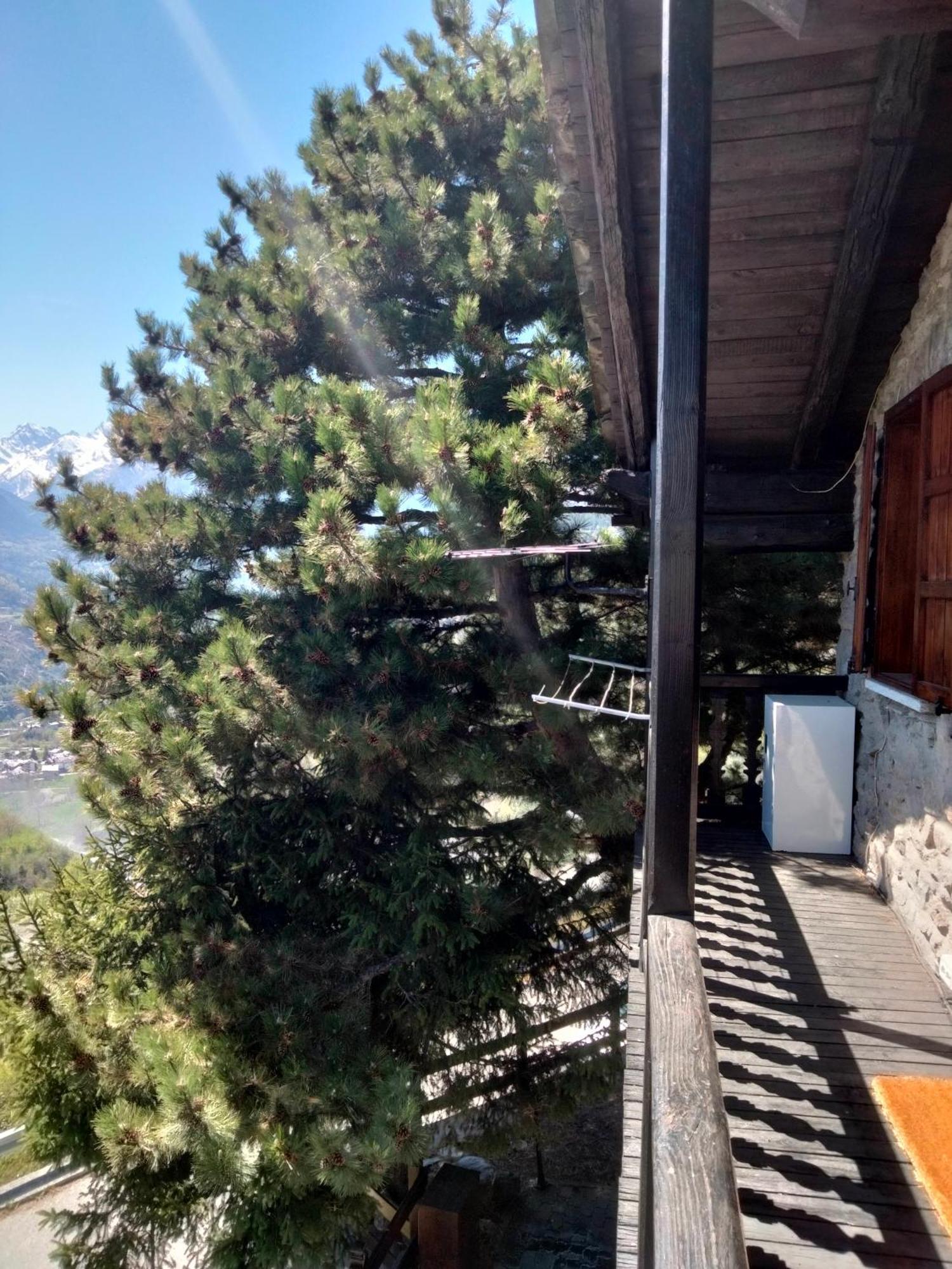 Grand Rive Bed and Breakfast Saint-Pierre Buitenkant foto