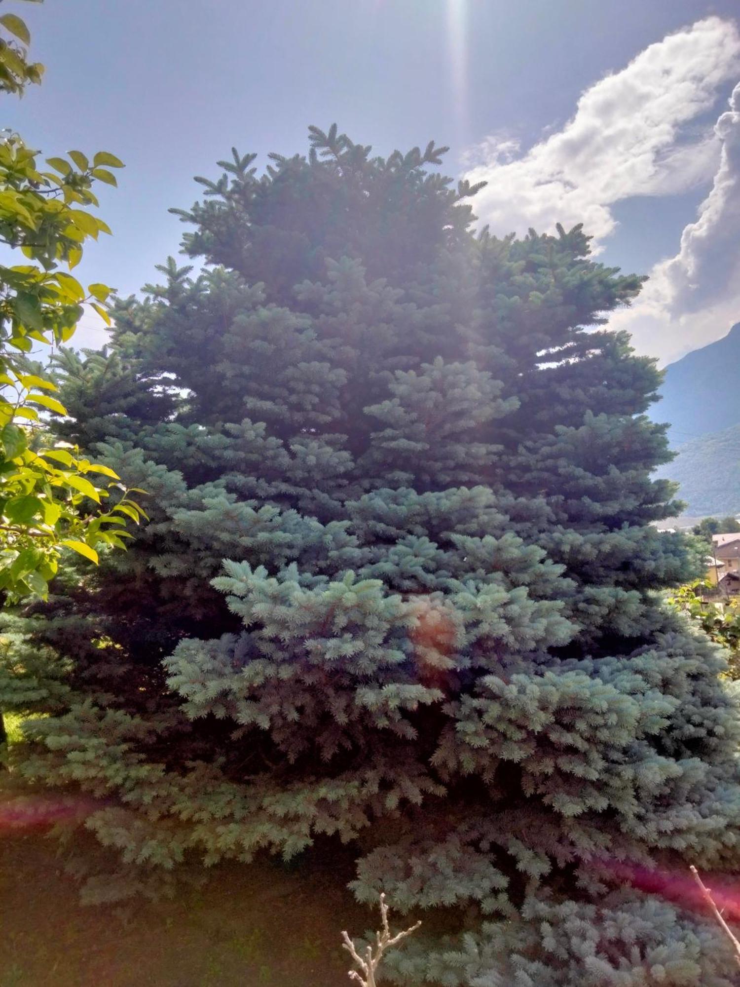 Grand Rive Bed and Breakfast Saint-Pierre Buitenkant foto